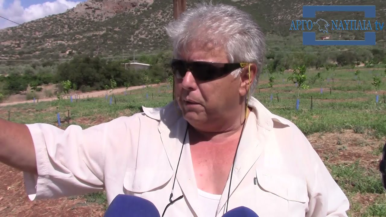 Φόβος και τρόμος τα αγριογούρουνα για τους αγρότες της Αργολίδας