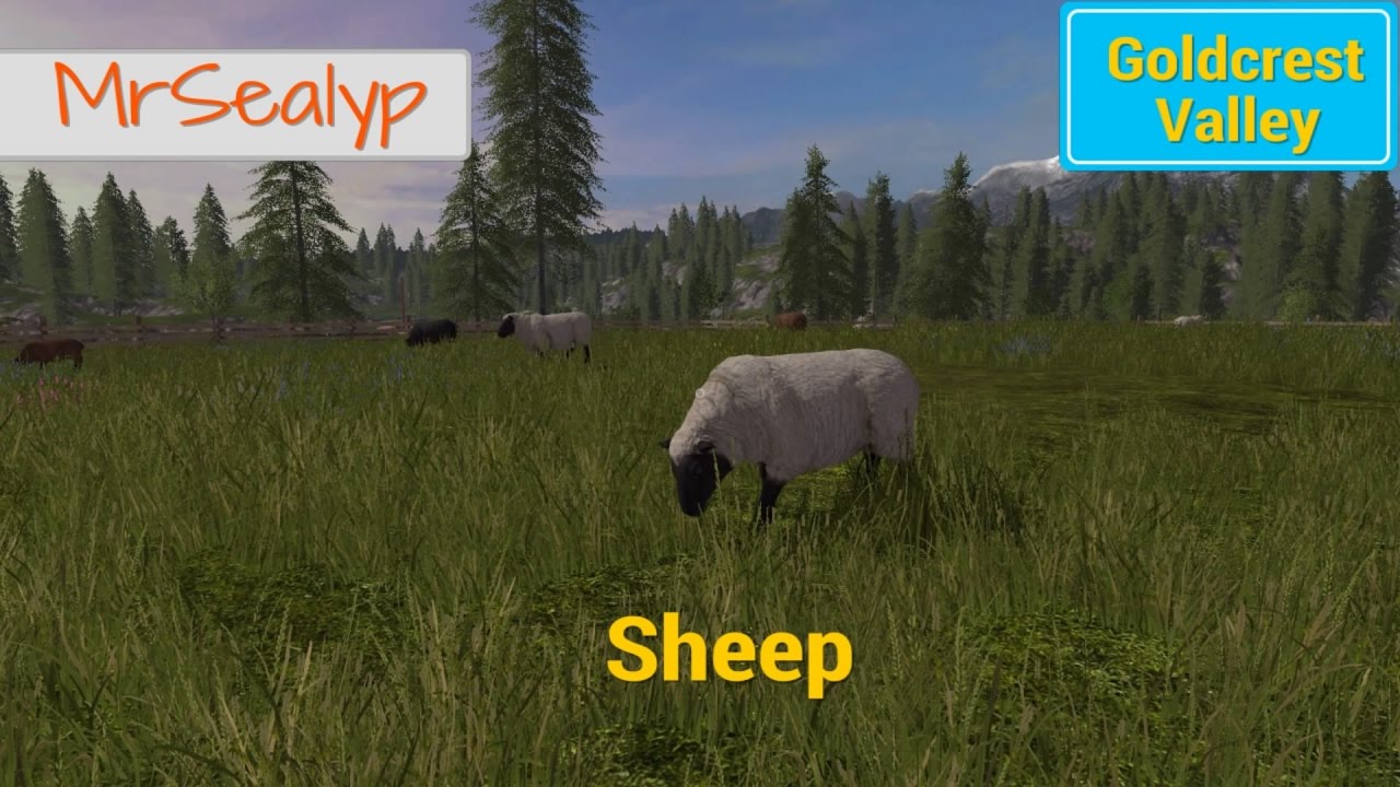 Farming Simulator 17 PS4: Goldcrest Valley, Sheep guide.