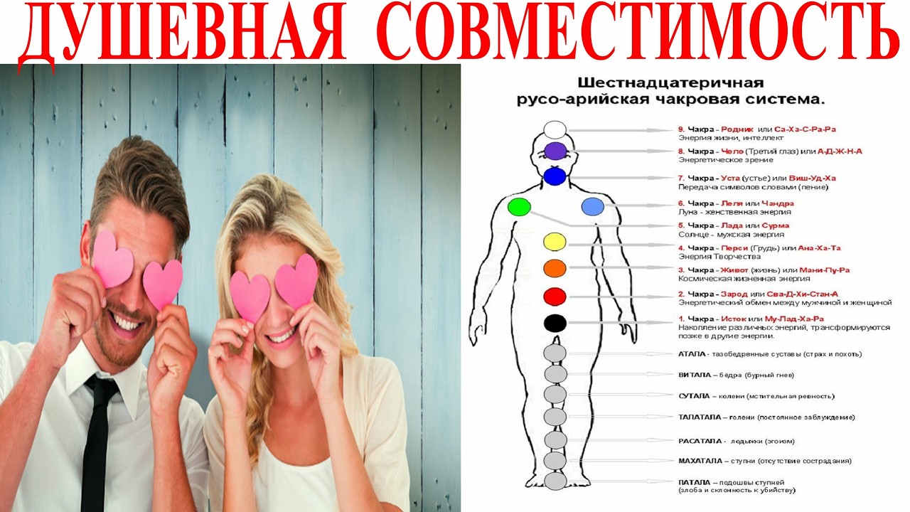 Душевная совместимость партнеров. Гибриды среди людей.| Виктор Максименков-НАН