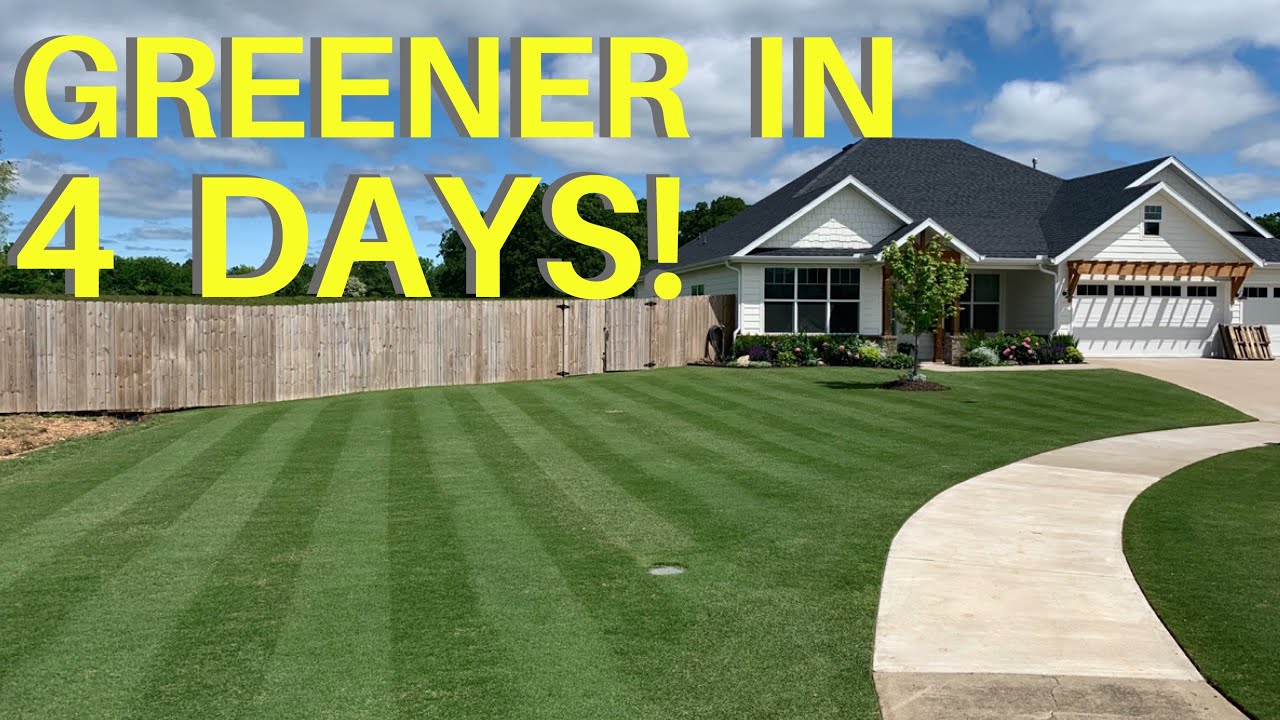 Get Your Lawn Ready For Guests  |  FAST!