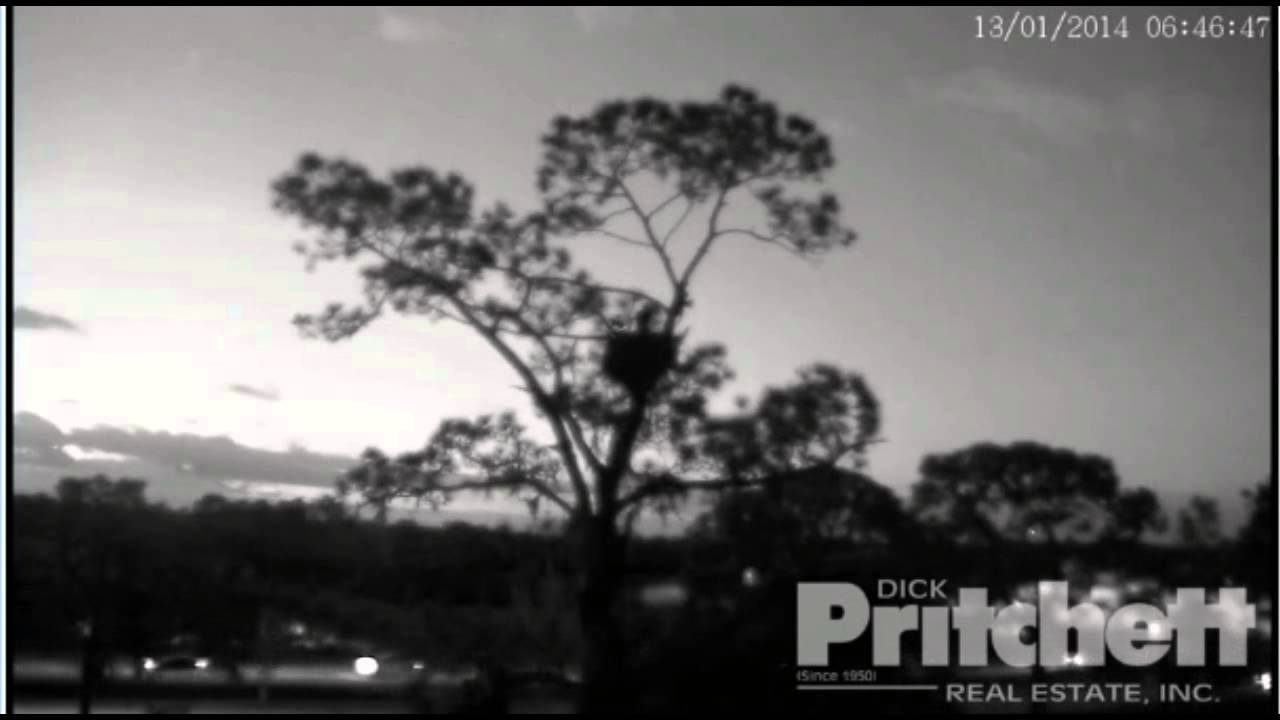 1 /13/14 6:44 am Ozzie heads out for Breakfish We hope