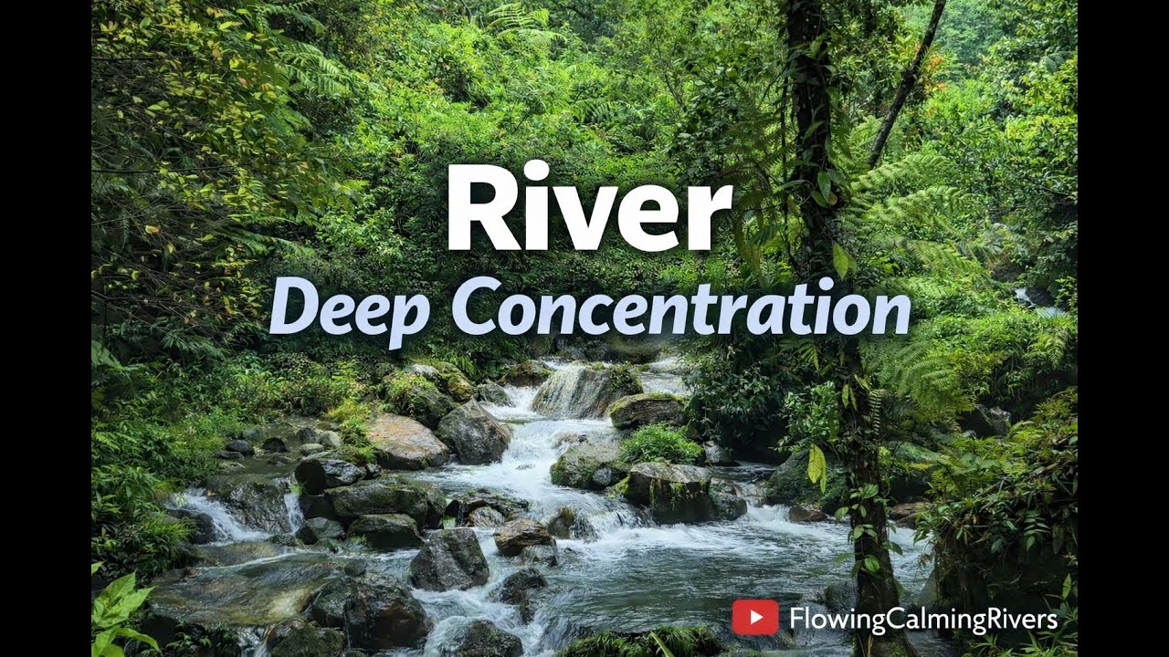 3 Hours Mountain Stream Sounds for Focus & Deep Concentration | Nature Water Sound