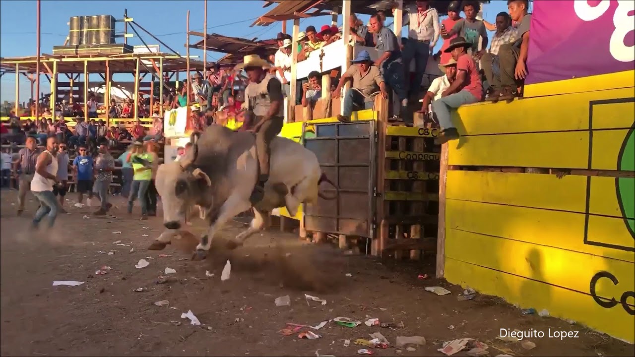 Fiestas Típicas Nacionales Santa Cruz