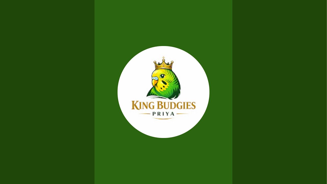 King_Budgies_Priya is live