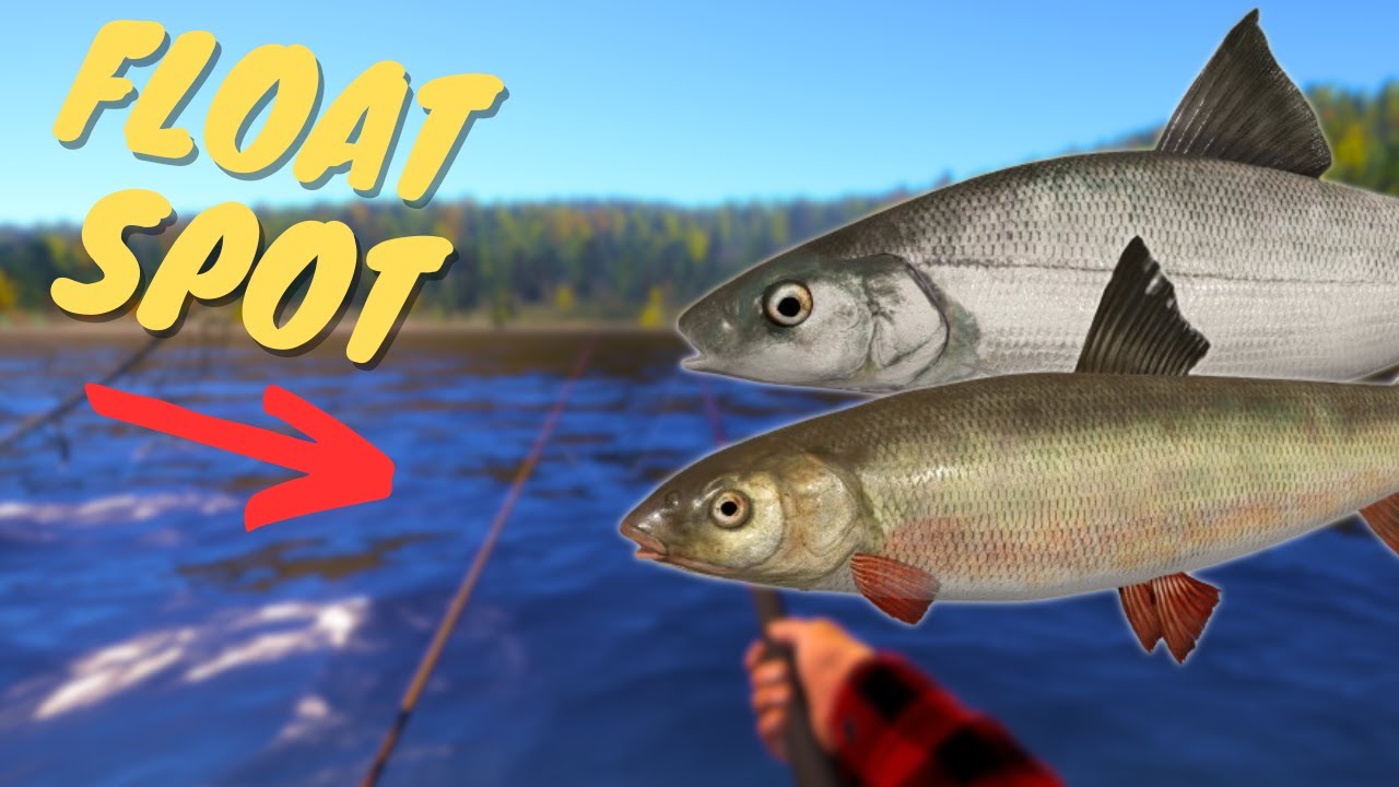 ACTIVE FLOAT SPOT IN TUNGUSKA RIVER! #949 Russian fishing 4