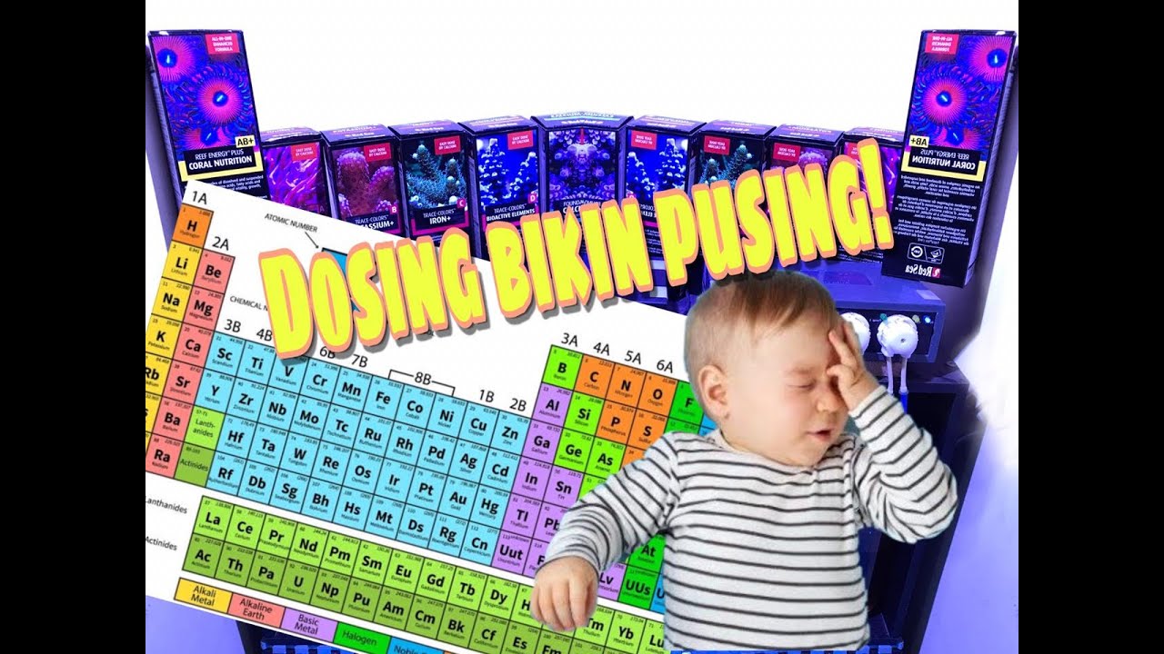 ECT60: Kupas Tuntas Masalah Dosing (Big 3, Trace Element dan Amino/ Coral Food)