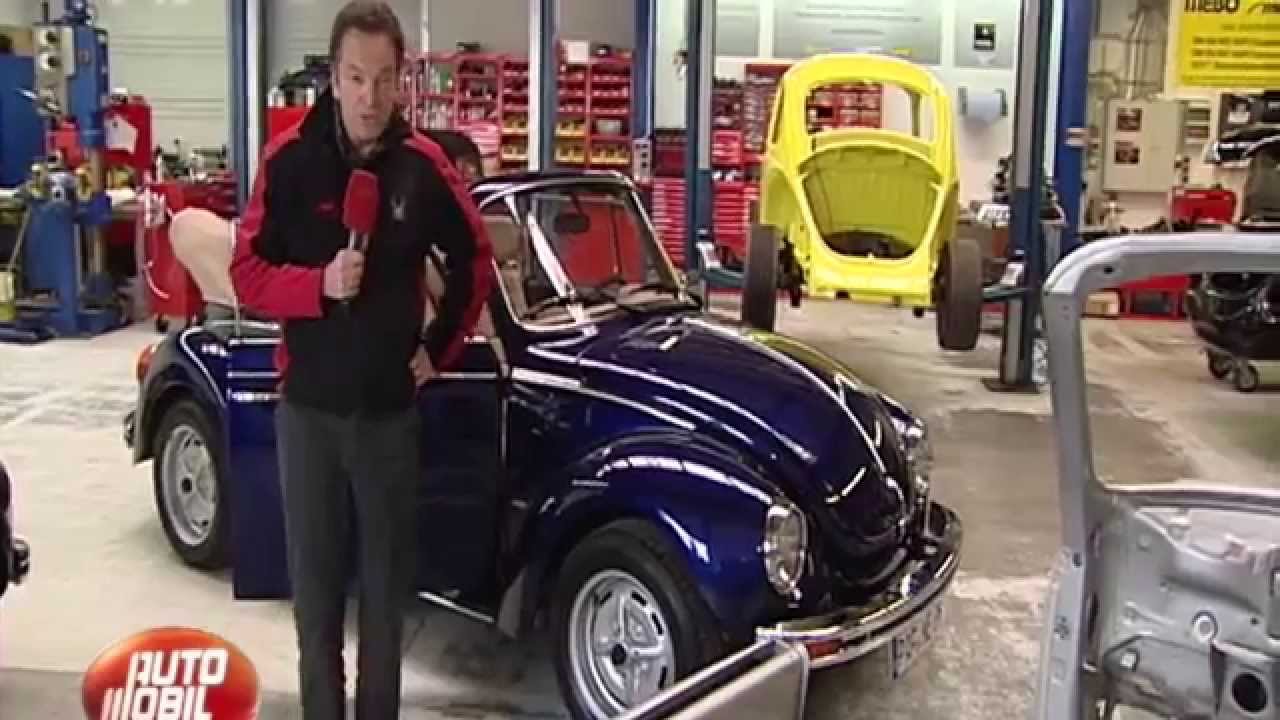 Die Käfer-Spezialisten Memminger
