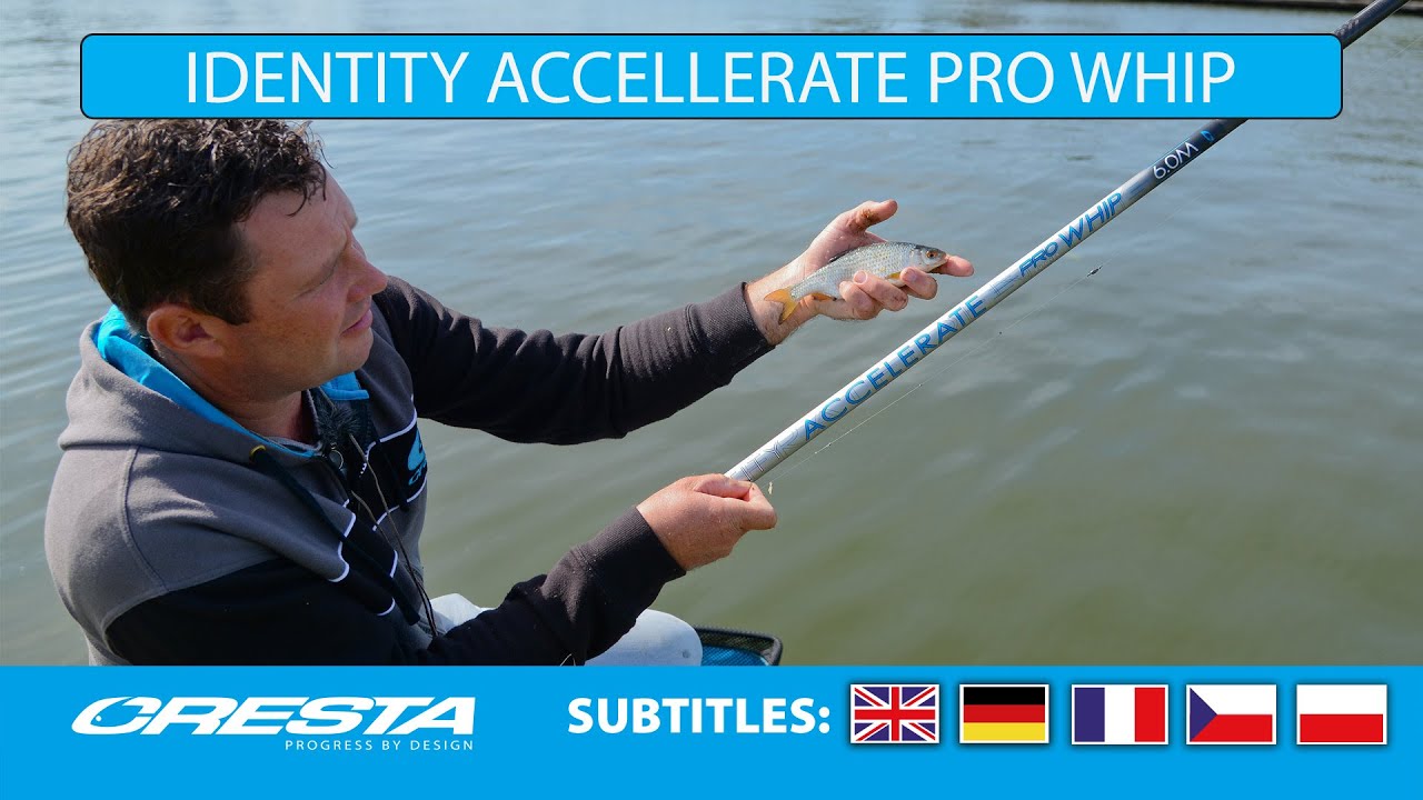 48. CRESTA IDENTITY ACCELLERATE PRO WHIP.