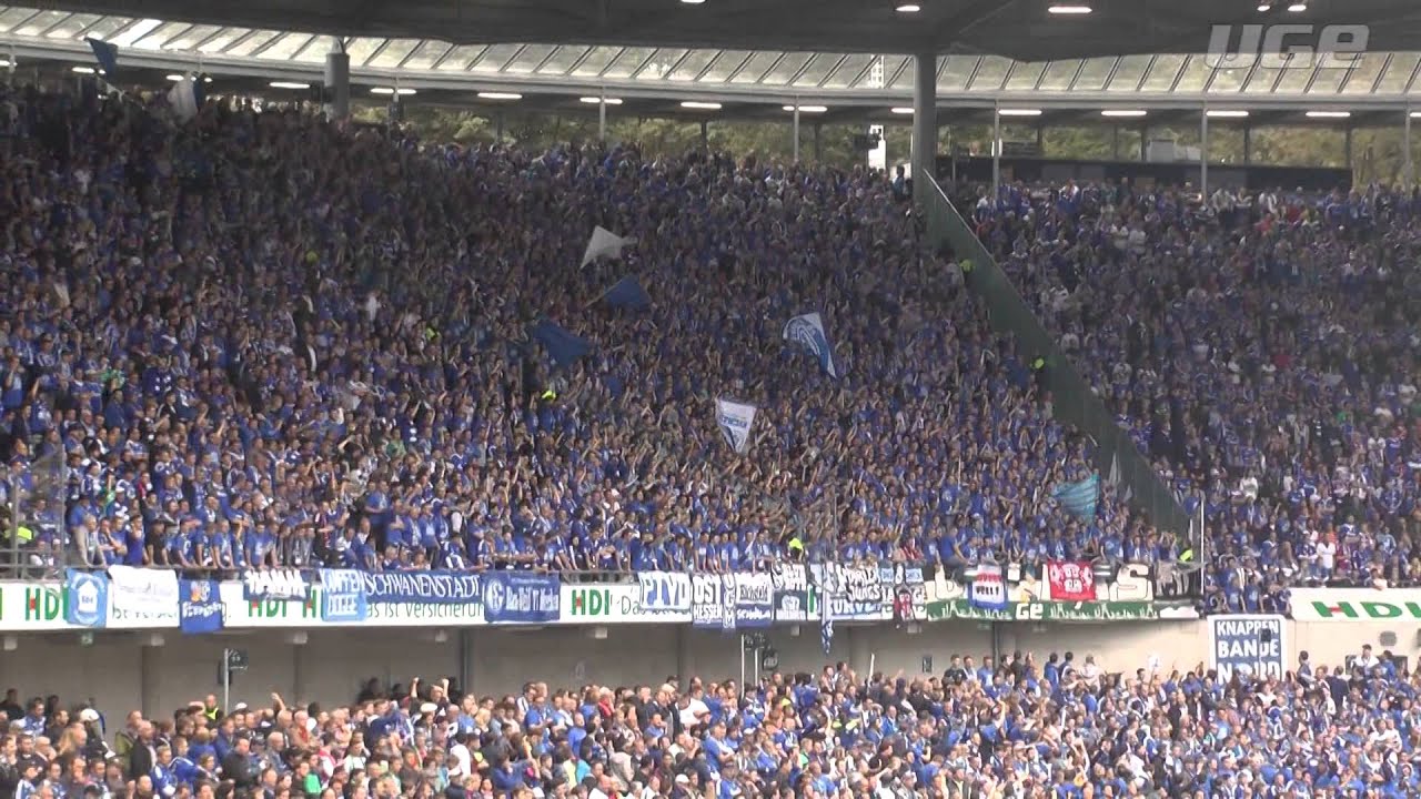 Nordkurve Gelsenkirchen: Du gewinnst nie allein!