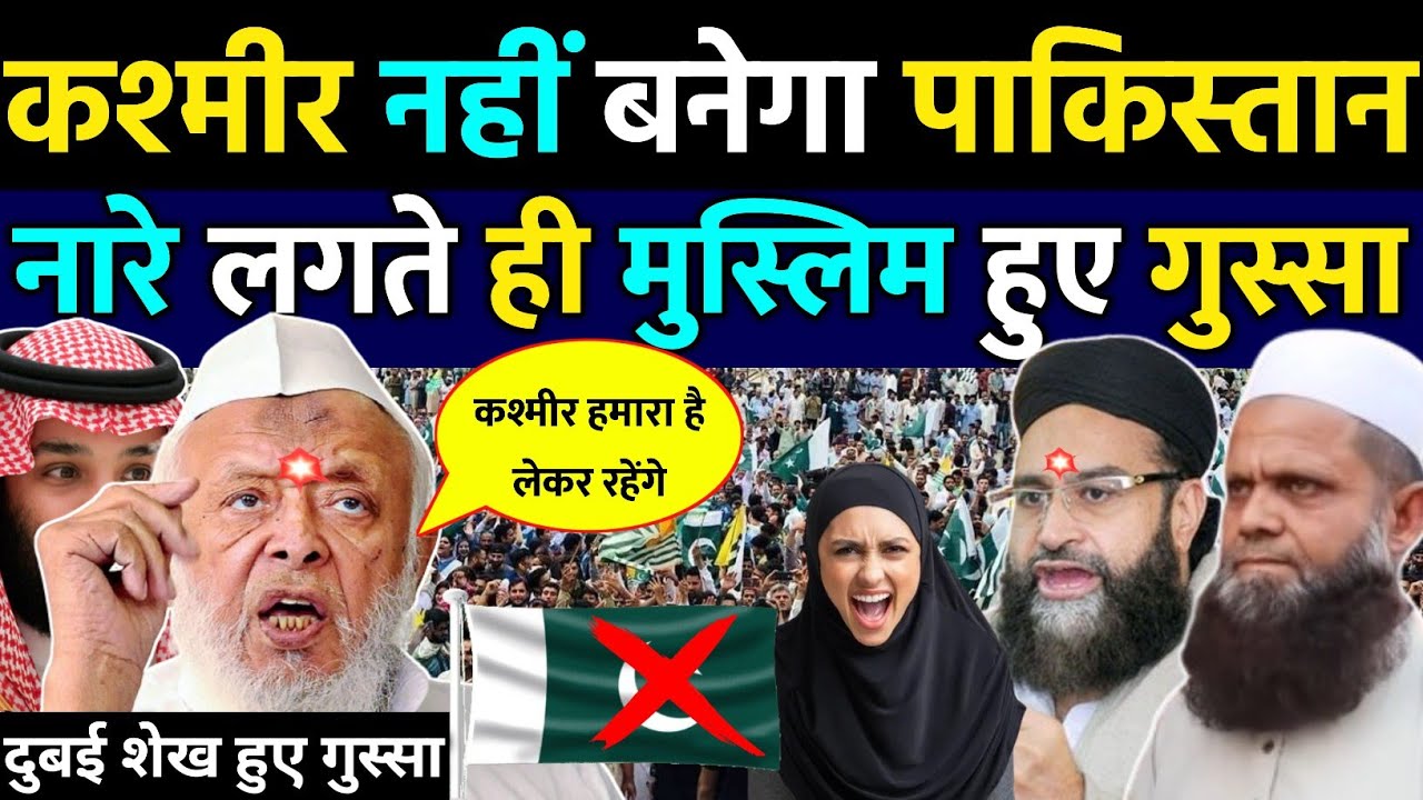 कश्मीर नहीं बनेगा पाकिस्तान सुन मुस्लिम भड़के | Dubai Sheikh | Kashmir Muslim | Pak public reaction