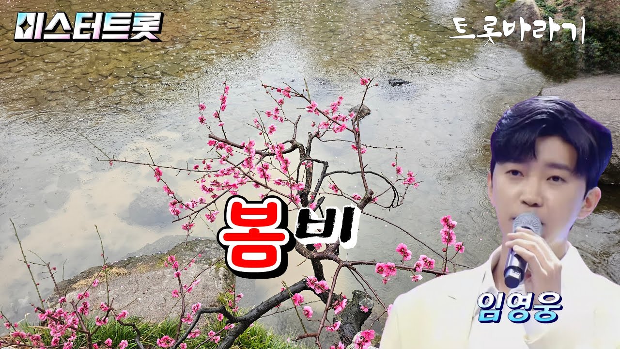 봄비 ♡ 임영웅 ♡ 미스터트롯 ♡ 그리운 사람에게 보내는 헌정곡 