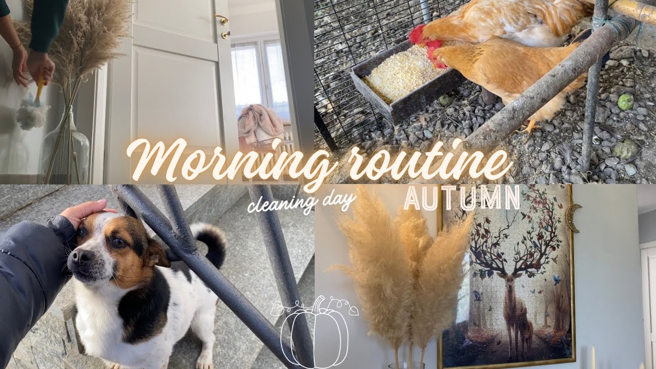 PULIZIE QUOTIDIANE 🫧 ANIMALI 🐶🐓 NATURA 🌿 relaxing vlog