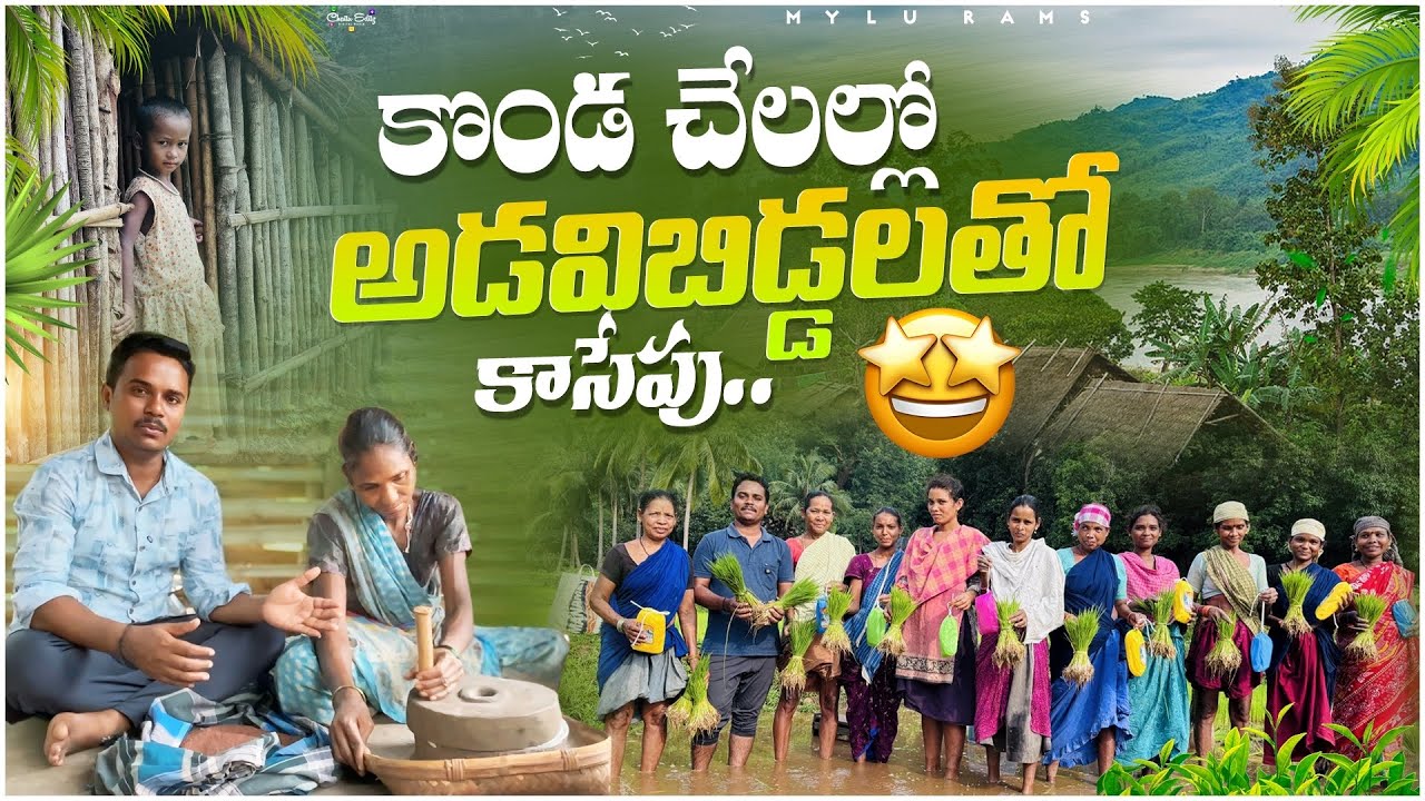 Farm in tribalVillage| పచ్చనికొండల మధ్య గిరిజనుల చేనిపనులు:కొండపోడు  #maredumilli @TribalMirror