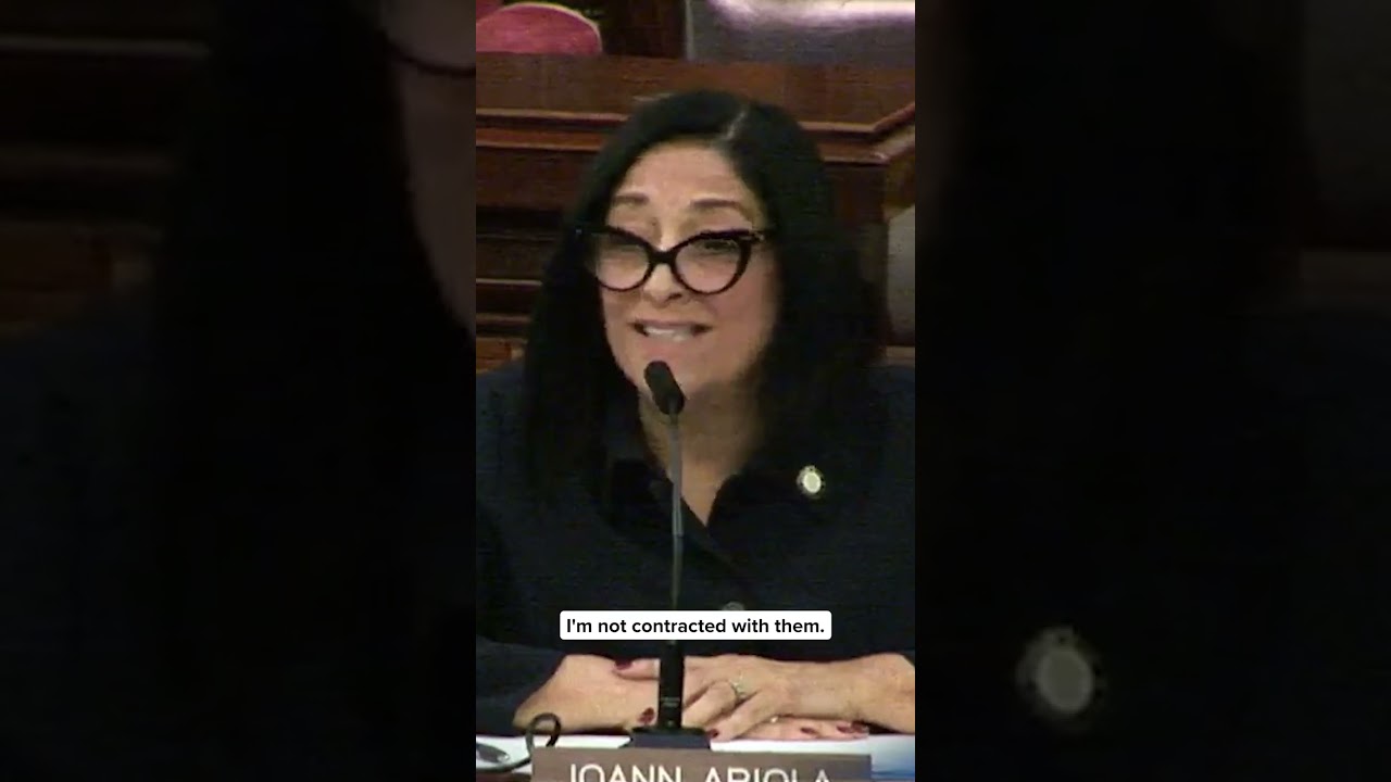 Council Member calls out the need for better support for animal rescuers