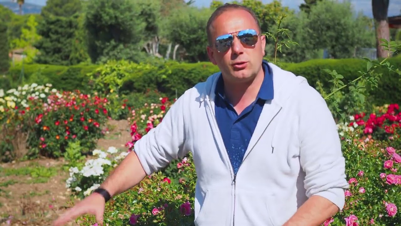 Matthias Meilland presents some of our best landscape roses