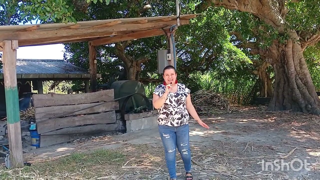 Molienda Los Barahona, Cantón San Luis Arriba, Mercedes la Ceiba, La Paz. 