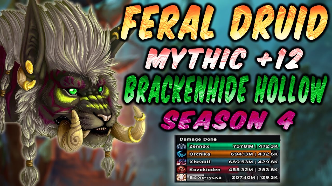 Feral Druid Pov Mythic +12 Brackenhide Hollow | Season 4 Dragonflight 10.2.6 | Retail | #feral