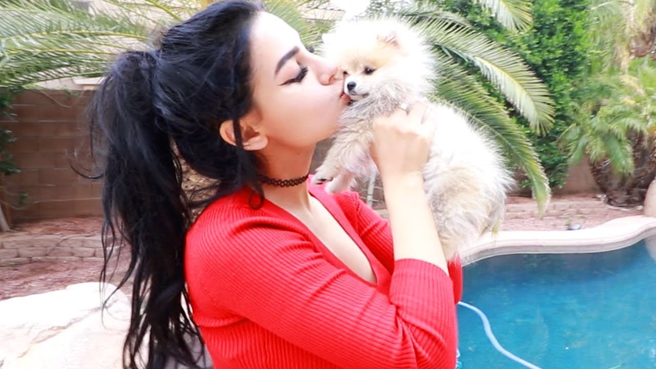 MEET MY NEW PUPPY