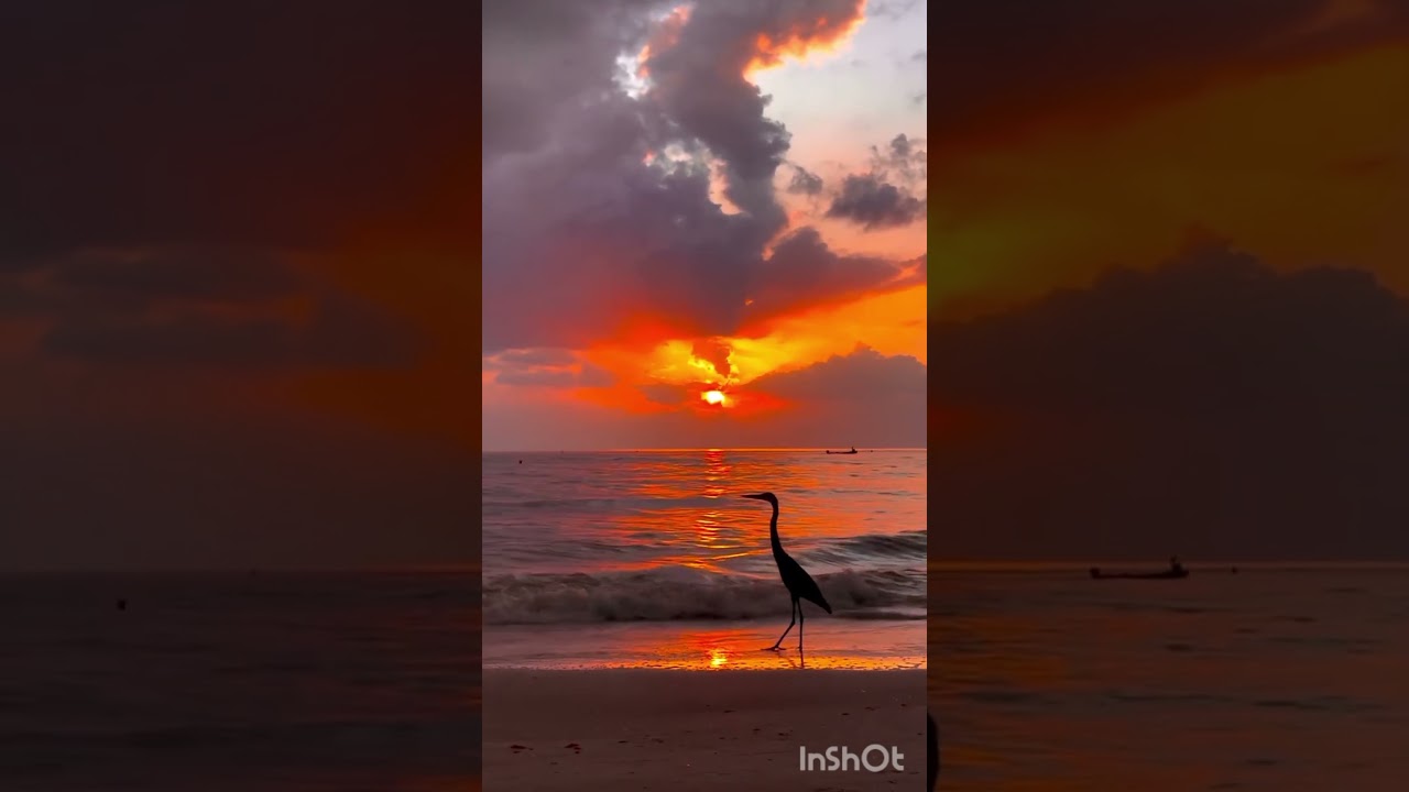 @Танечка-25 @FoxT-live    #доброе 🤝🌞🫶#морезаказать#таджичка#вдохновение#ютубшорт#мотивация