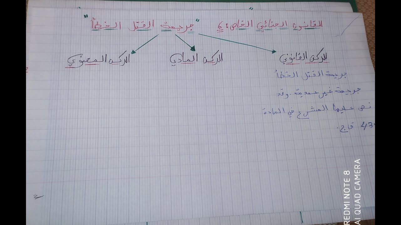 أجي تفهم القانون الجنائي الخاص:6: