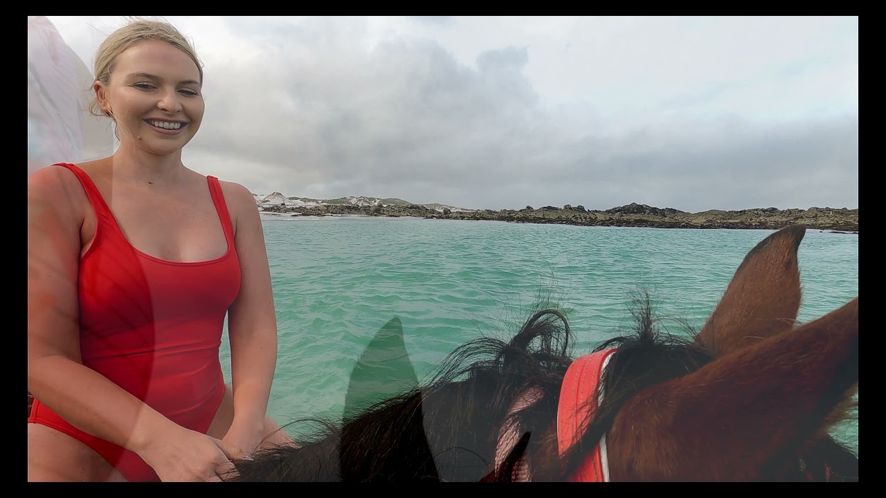 Gansbaai & Pearly Beach Horse Trails (Western Cape) - Another Day, Another Trail - 14 Apr 2021