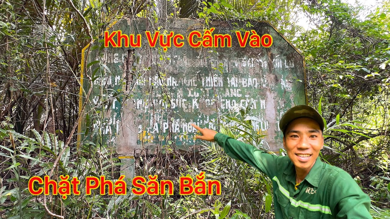 CẦN GIỜ NƠI CÓ RẤT NHIỀU HẢI SẢN TRẢI NGHIỆM MỘT NGÀY TÌM KIẾM TRONG RỪNG