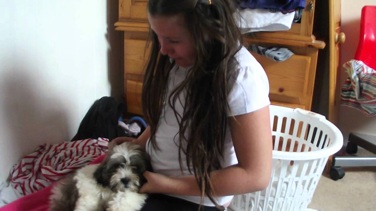 BIRTHDAY SURPRISE!!!