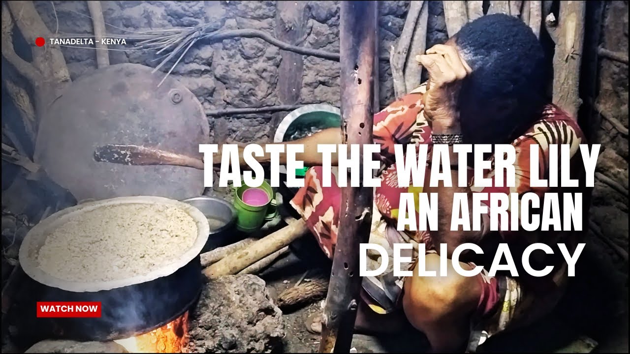 HOW WATER LILLY IS COOKED #africa #cooking #village #waterlily #travel 