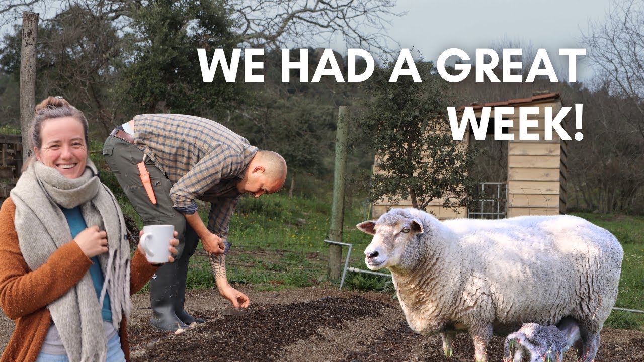 A week on our regenerative farm & homestead in Portugal