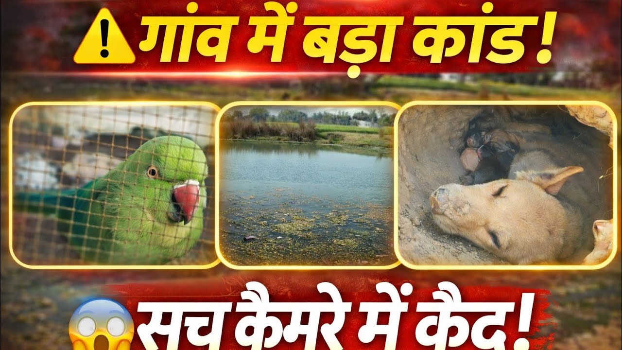 ये किसी ने सोचा भी नहीं था! 😱|| YE KISI NE SONCHA NHI THA 😱