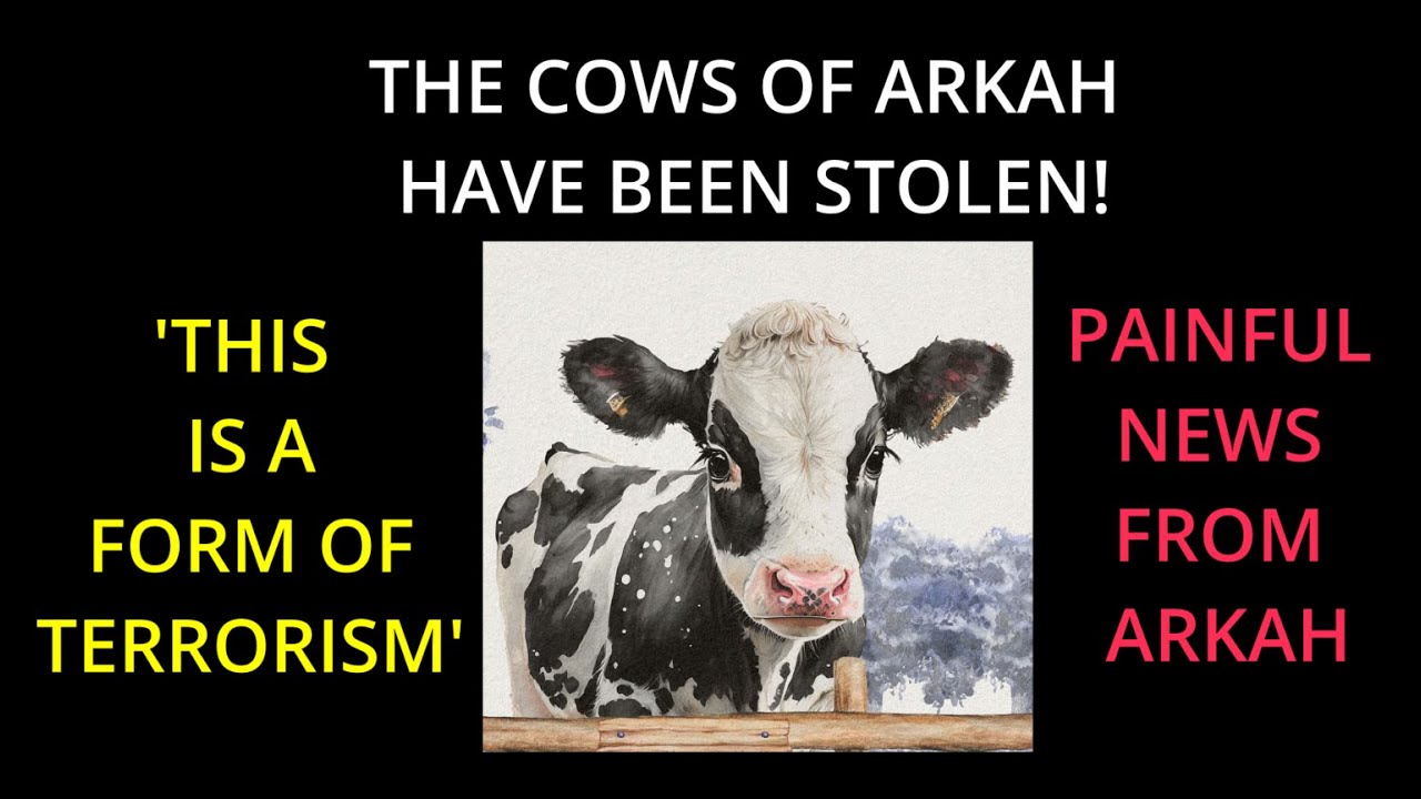NEWS FROM ARKAH