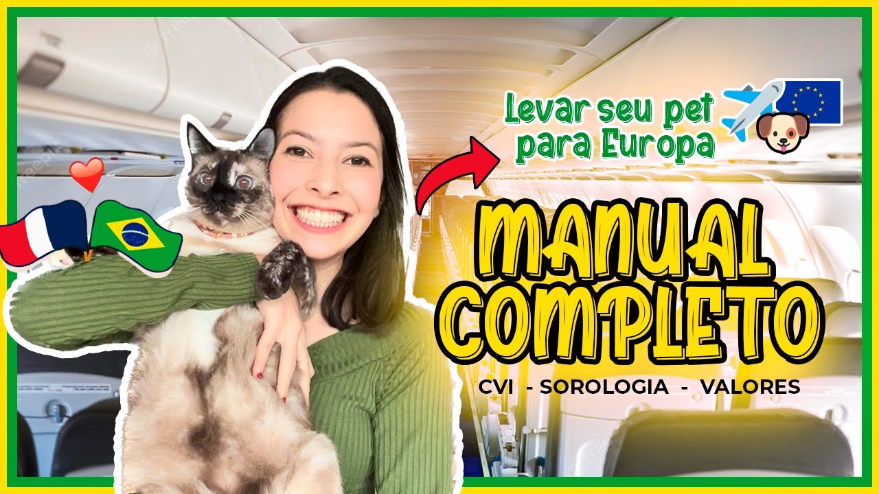 Como Levar o Seu Pet para a França 🐱 GUIA COMPLETO ✈️🐾 I RDV NA FRANÇA