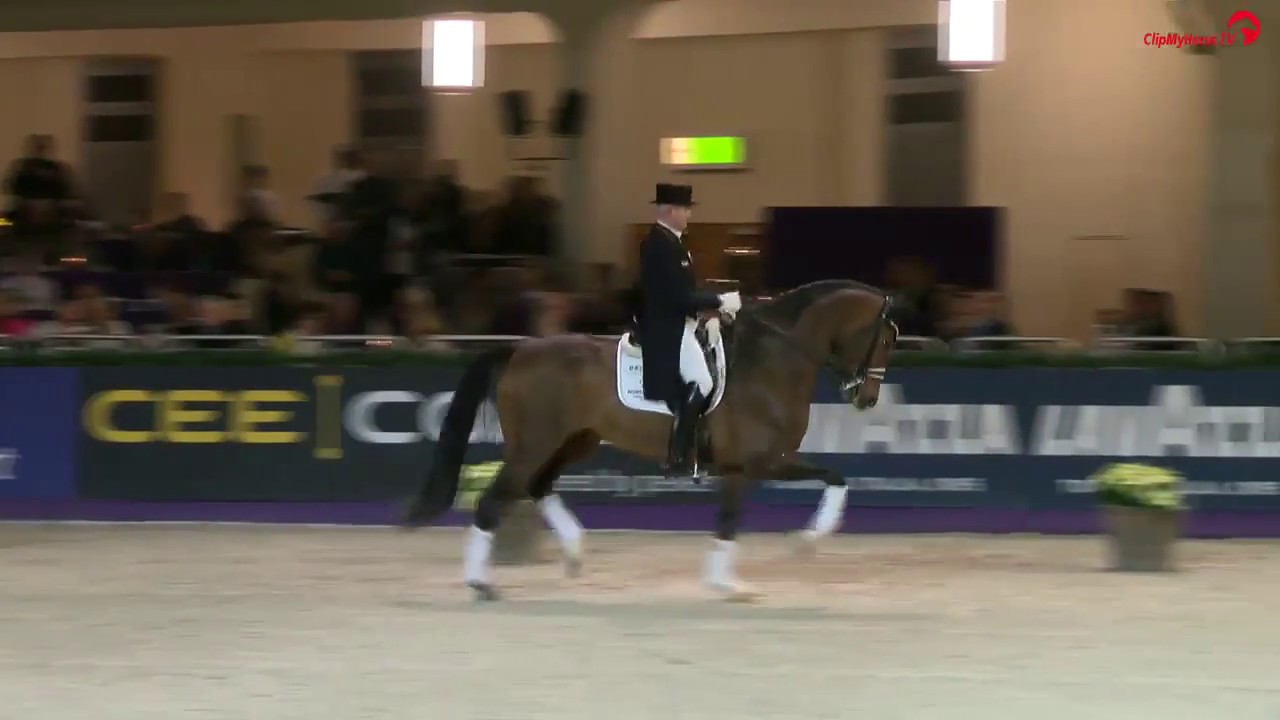 Hubertus Schmidt | Escolar | Siegerpreis Nürnberger Burg-Pokal | Festhallen Reitturnier 2017