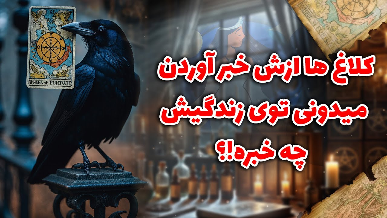 شراره تاروت کوچینگ - کلاغ ها ازش خبر آوردن میدونی توی زندگیش چه خبره!؟