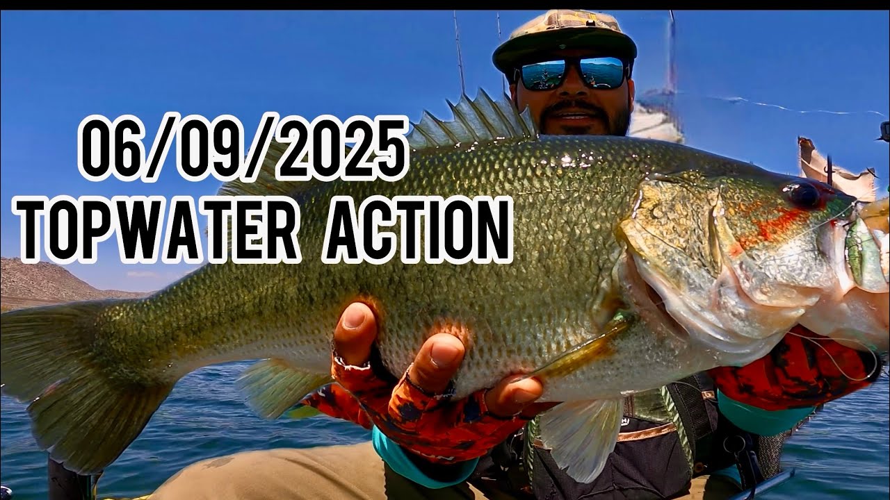 Fishing at Perris Lake. Summer bite is here 🫡