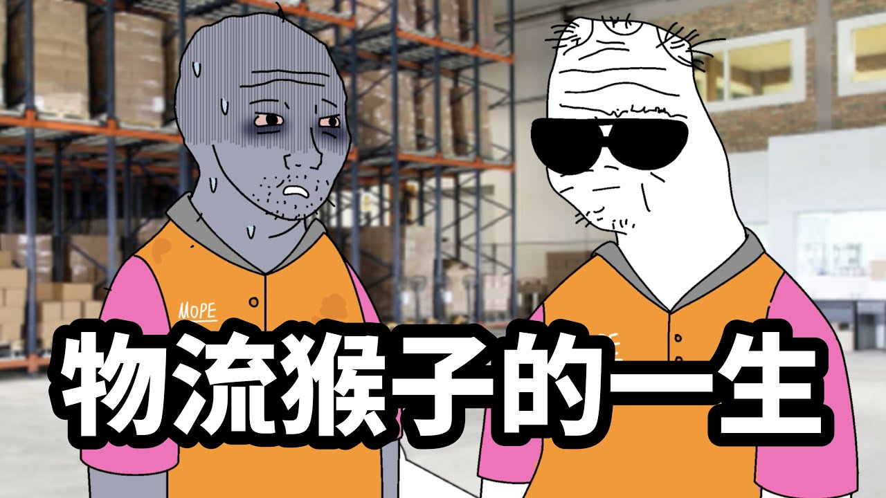 物流猴子的一生 完整版