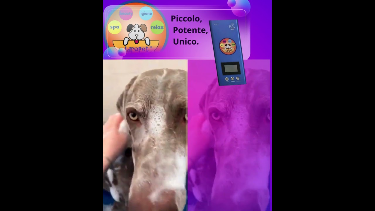 Unico pet, produttore di acqua corrente oznizzata e ossigeno con nanobolle #idropet