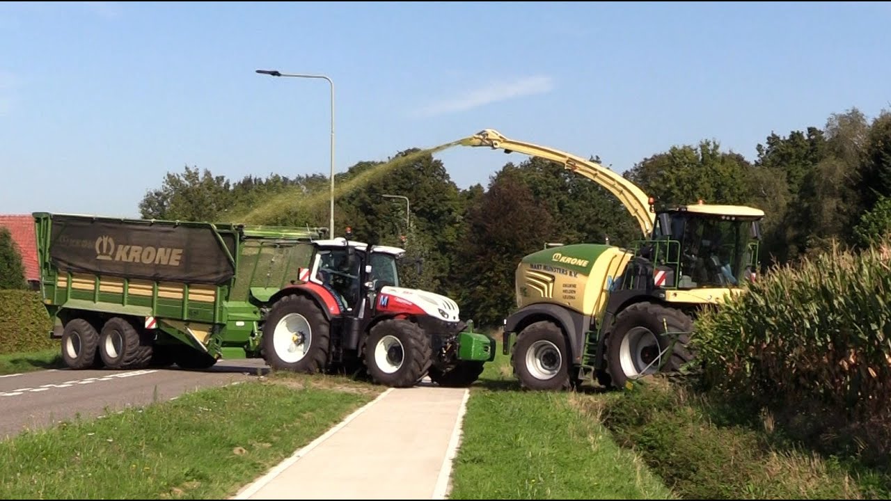 Maïs 2024 | 3x Steyr tractors met Krone TX460 silagewagen | Krone 630 | Munsters | Maize harvest
