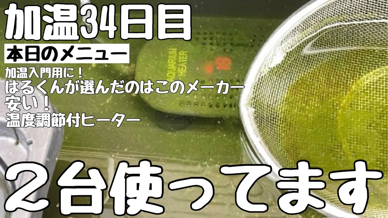 【選外坂出三色】使用中のヒーター紹介です