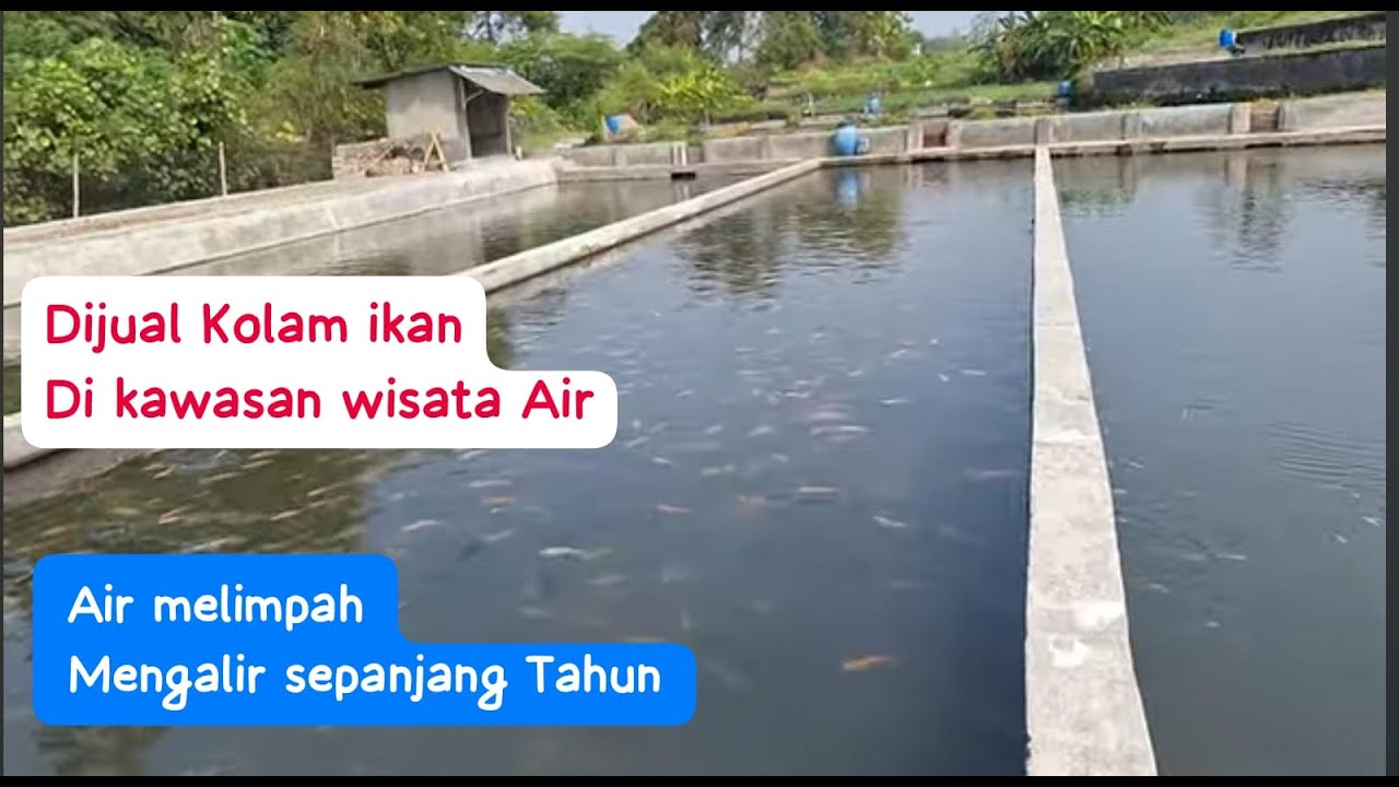 ❌️TERJUAL kolam ikan di wisata air Klaten SHM luas 4.175 m² harga 1,3M. Lokasi di bawah umbul manten