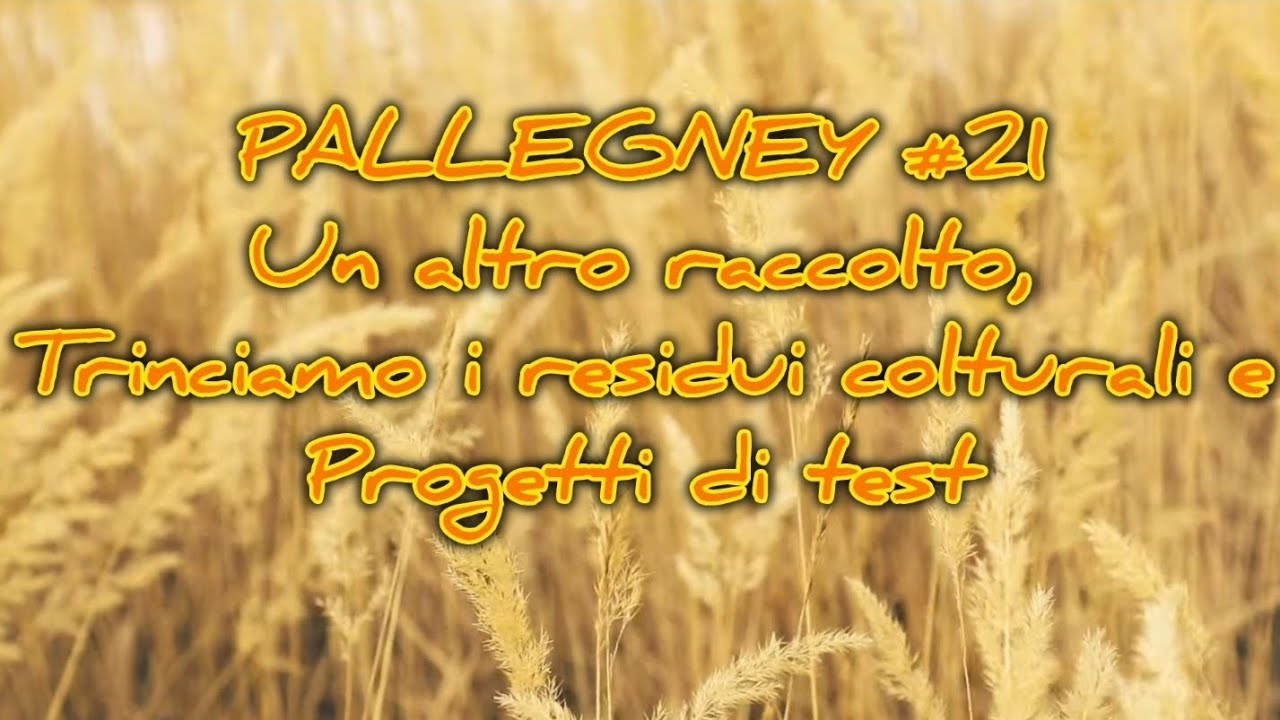 PALLEGNEY #21 Un altro raccolto, trinciamo i residui colturali e progetti di test