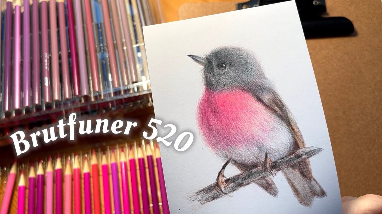Brutfuner 520 Oil Colour Pencil Unboxing/Swatching/Drawing