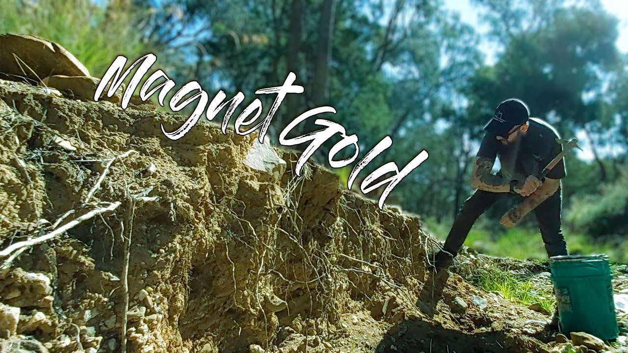 How to Find GOLD With a Magnet!