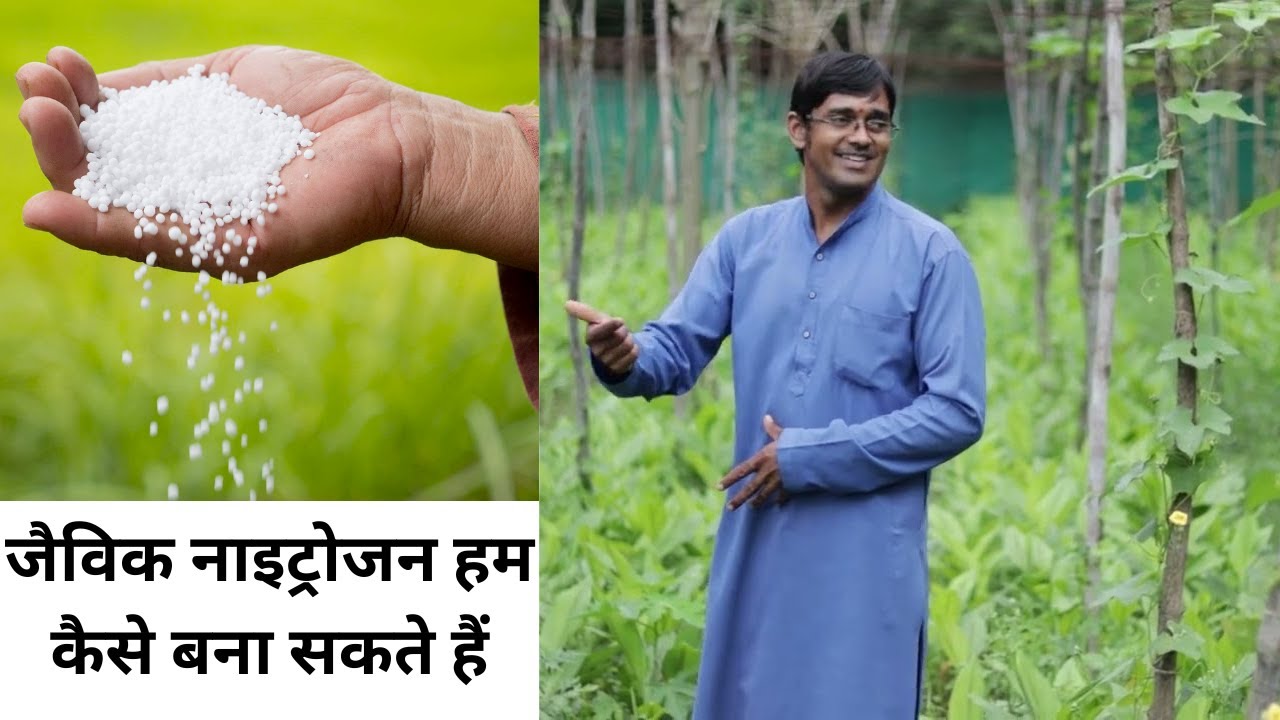 नाइट्रोजन/यूरिया बना | urea/nitrogen making  नाइट्रोजन/यूरिया बना | akash chourasiya