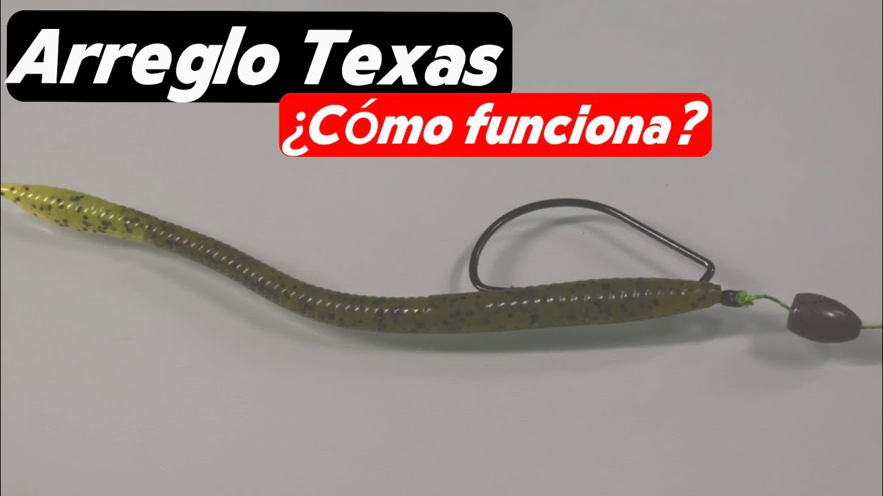 Arreglo Texas para Principiantes Gu&iacute;a Paso a Paso para la Pesca de Lobina