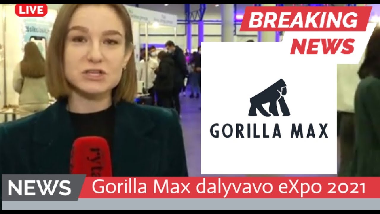 Kaip mes patekome į žinias? | Gorilla Max