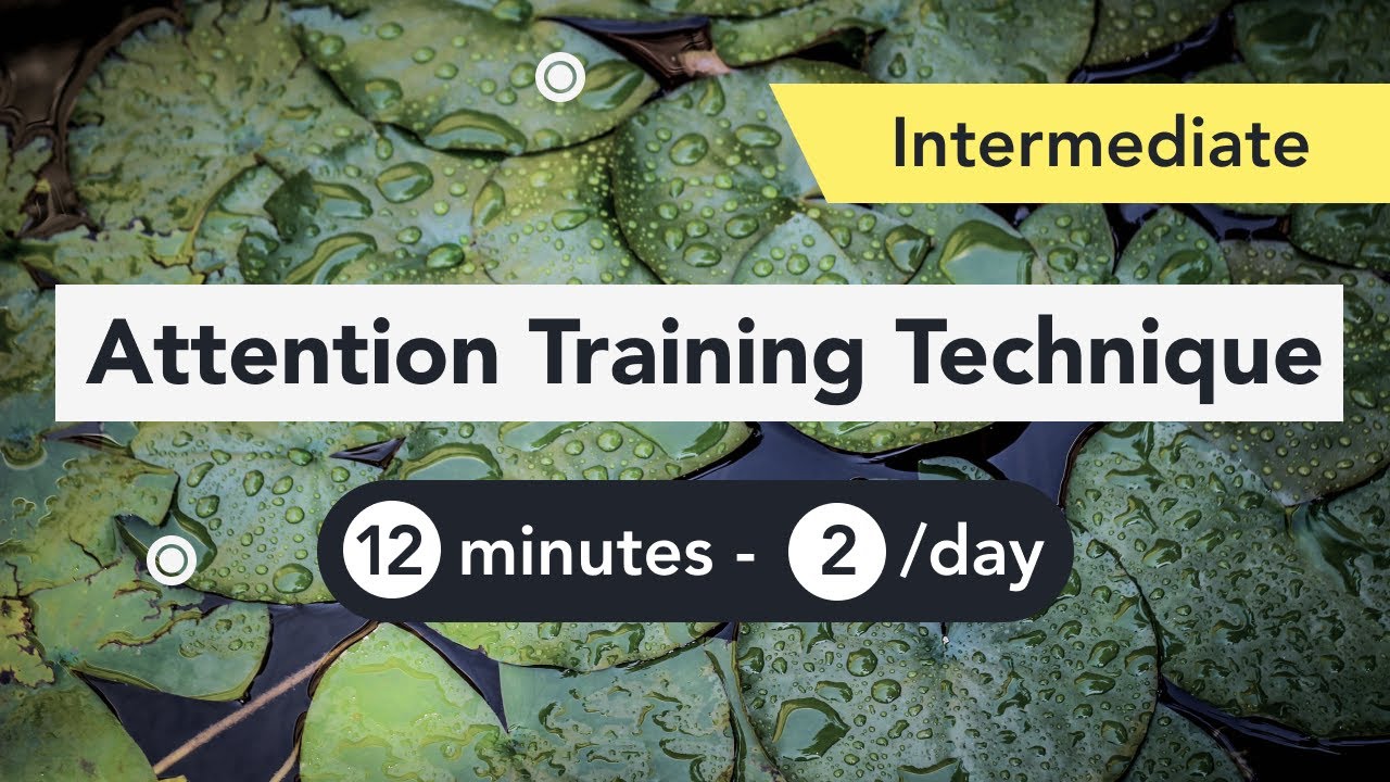Attention Training Technique (ATT) in Metacognitive Therapy. (Intermediate 7)