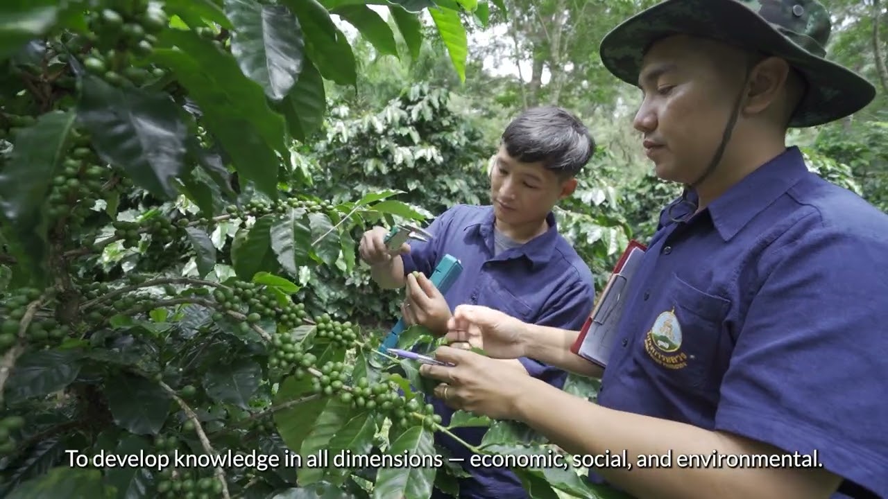 กาแฟพ่อหลวงสู่ความยั่งยืน (Royal Coffee from BCG to SDGs)