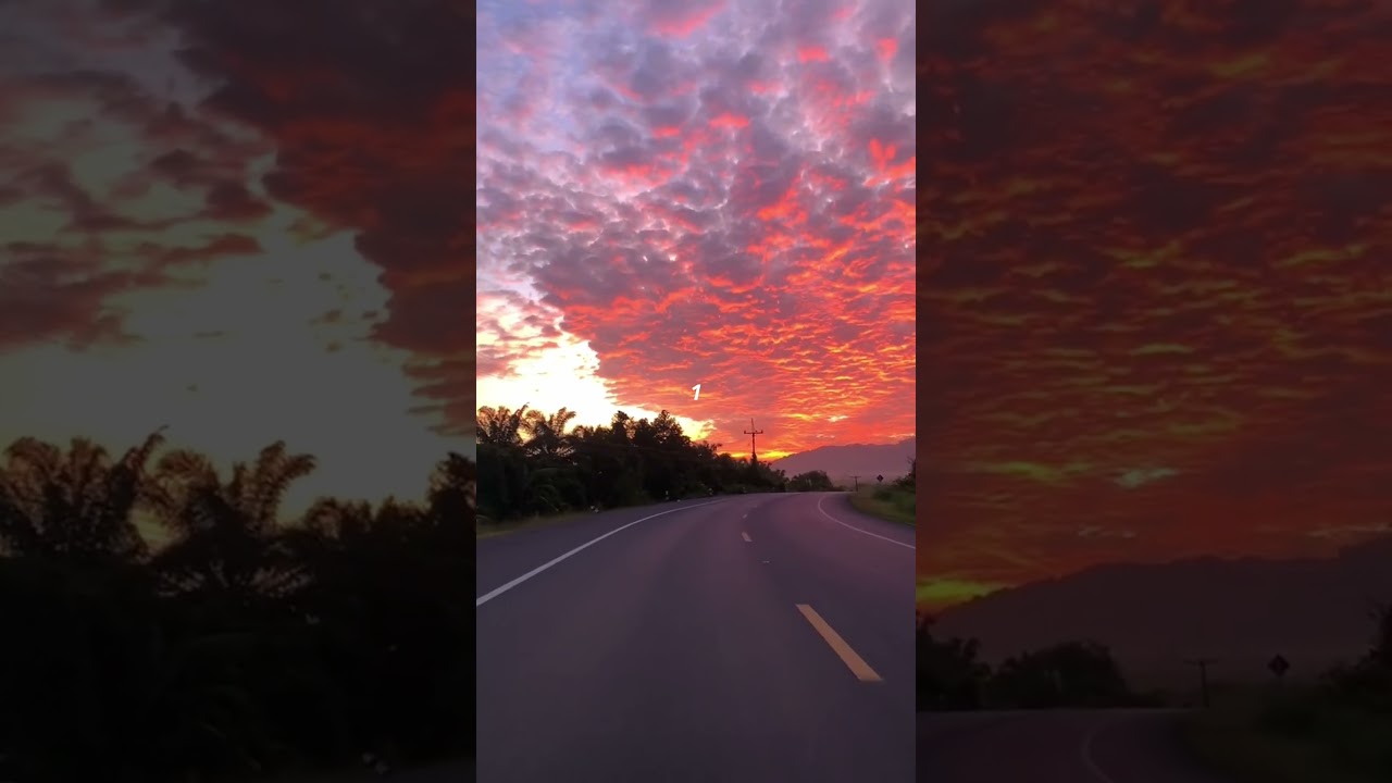 Which road would you drive on...? #shorts #aesthetic #drive #travel #relax #vibes #fyp