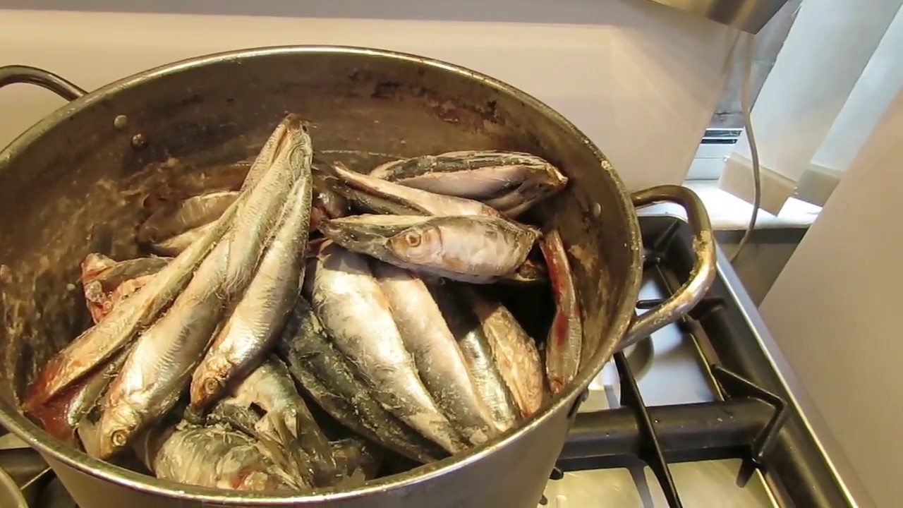 Homemade Dog Food Sardines and Sprats Fish Rich In Omega 3 With Pasta and Rice